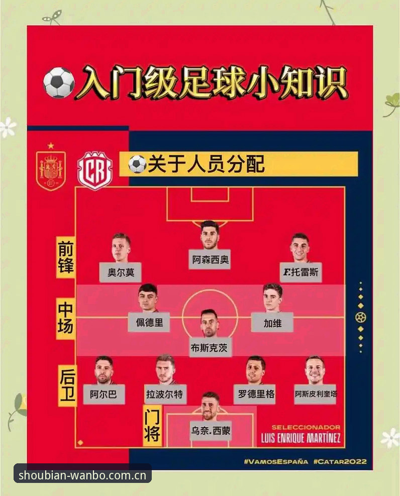 挪威vs塞内加尔比赛数据获取完整指南：新手避坑手册